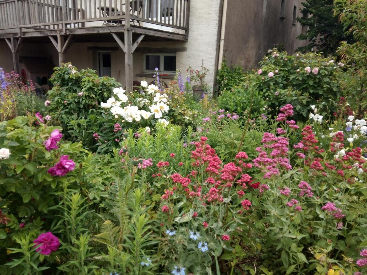 La Grange Aux Hirondelles Bed & Breakfast Athienville Екстериор снимка